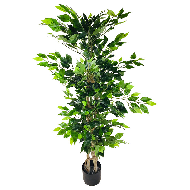 The Seasonal Aisle Artificial Ficus Tree in Pot & Reviews Wayfair.co.uk